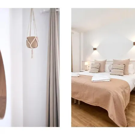 Palm Oasis Apartament